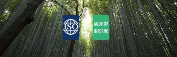 Doble Máster en Gestión de la Calidad, Auditor Interno y Medio Ambiente