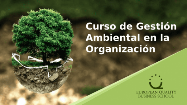 Curso de Gestión Ambiental en la Organización