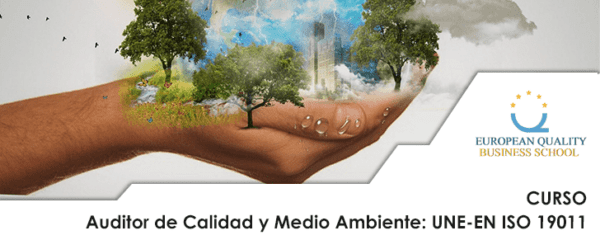 Curso Auditor de Calidad y Medio Ambiente: UNE-EN ISO 19011