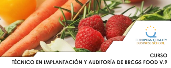 Técnico en Implantación y Auditoría de BRCGS Food Versión 9